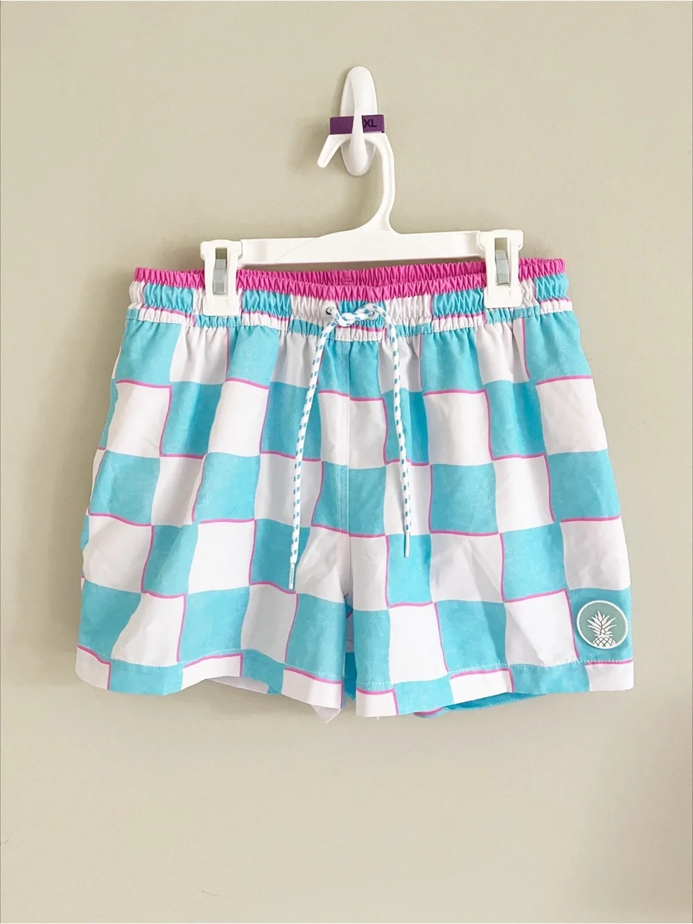 Chubbies aqua pink The Pawns swim trunks